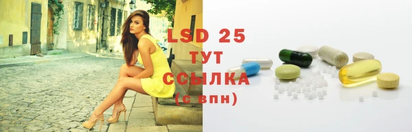 трава Елизово