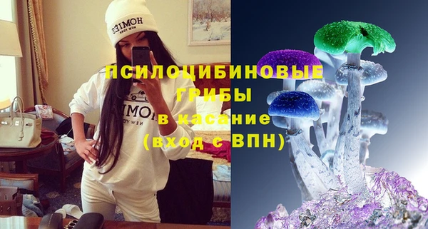 герыч Ельня