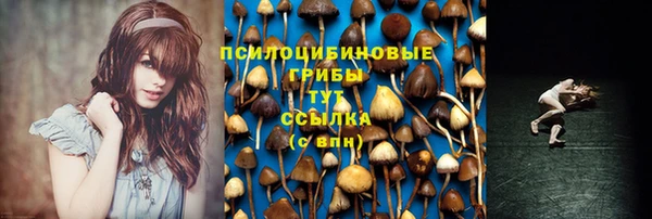 герыч Ельня